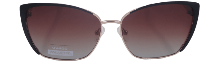 BERGMAN B564 POLARIZED  C2