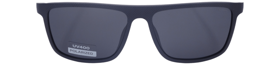 BERGMAN Β367 POLARIZED C2