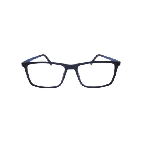 BERGMAN BC423 Ultem super light Clip-on polarized C10