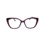 BERGMAN BC546 Clip-on polarized C8