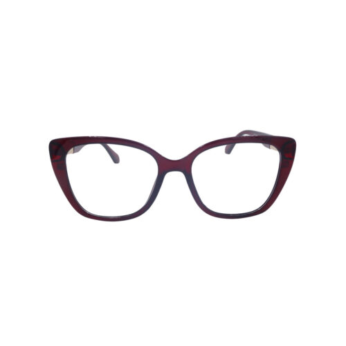 BERGMAN BC546 Clip-on polarized C8